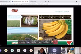 UK - a promising market for Vietnamese vegetable and fruits: webinar