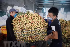 PM orders removing difficulties in farm produce consumption for Bac Giang