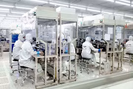 Vietnam’s overseas investment soars 74 percent in eight months