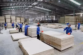 COVID-19 makes nearly 10 pct of domestic firms lack capital: official