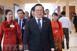 Official: Party diplomacy contributes to 13th National Party Congress 