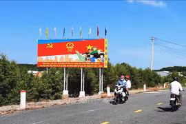 Early elections to be organised on Ca Mau's islands
