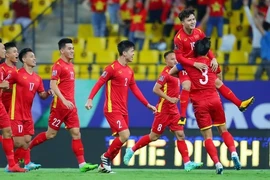 Vietnam strive for good result in World Cup match against Australia: Coach