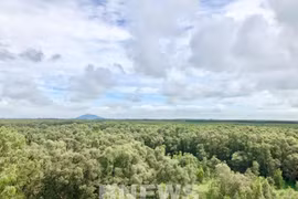 Forest environmental services to bring about 2.8 trillion VND in 2021
