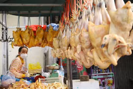 Cambodia's inflation rate stands at 2.5 percent in H1