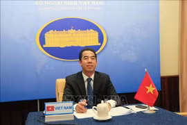 Local diplomacy contributes to overall success of country's foreign affairs