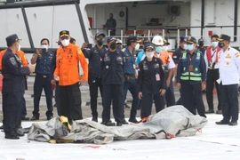 Indonesian President expresses condolences to families of plane crash victims