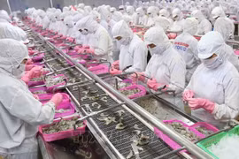Vietnam’s aquatic sector urged to invest in modern technology