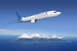 Garuda Indonesia grounds two-thirds of fleet