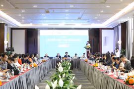 Private firms need more institutional support