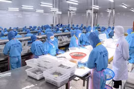 Nearly 5 billion USD of exports to EU benefit from EVFTA