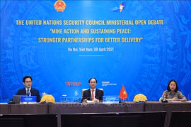 UNSC debate urges int’l cooperation in mine action