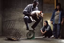 Vietnamese movie wins Special Jury Award at 71st Berlinale