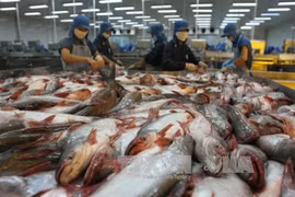 Cambodia to resume farmed fish import from Vietnam