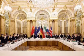 Vietnam supports disarmament, non-proliferation of nuclear weapons: Diplomat