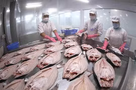 Enterprises maintain production to ensure export growth