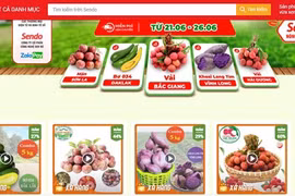 Farmers utilise e-commerce to boost sale of agricultural products