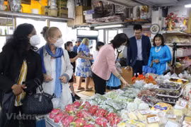 Vietnamese culture impresses international friends in Czech Republic