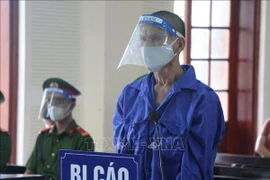 Nghe An court imprisons man for subversive activities