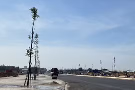 Land clearance compensation for Long Thanh airport project to finish in late June 