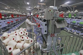 More effective use of trade remedy tools needed when joining FTA: experts