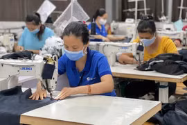 Unemployment insurance fund benefits 8.34 million pandemic-hit workers