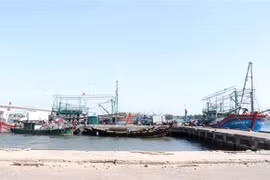 EC recognises Vietnam’s efforts to fight IUU, to conduct inspection in Q1, 2022