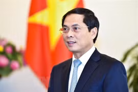 Minister: Vietnam’s re-election at ILC proves international community’s trust
