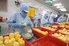 Vietnam’s export turnover surges 28.4 percent in H1 