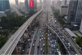 Indonesia to receive over 836 million USD for environmental protection