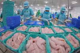 Many Vietnamese seafood exporters are not subject to US anti-dumping tariffs