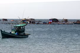 Sustainable agriculture: economic backbone of Mekong Delta province