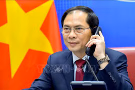 FM Bui Thanh Son holds phone talk with Chinese counterpart