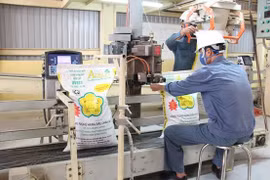 Animal feed exports see surge in H1 