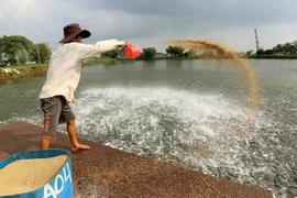 Dong Thap aims to cut down poverty ratio by 0.5 percent in 2021