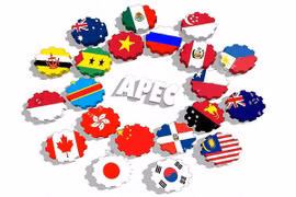 Vietnam expects APEC to remain key forum for economic cooperation, linkages