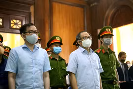 Former senior Party official of HCM City brought to trial