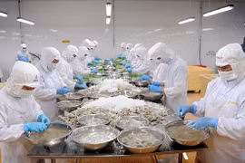 Ca Mau posts growth in shrimp exports in H1 despite pandemic
