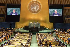 Vietnam takes active part in multilateral cooperation mechanisms in 2021