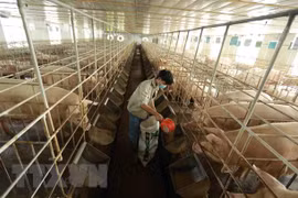 Hanoi’s outlying district maintains COVID-19-free zones, supply chain