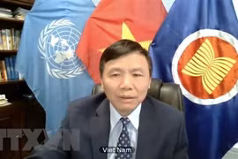 Vietnam calls on Myanmar to end violence, find satisfactory solution
