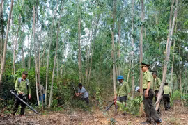 Minister urges localities to prepare to fight forest fires