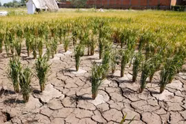 Cambodia completes updated NDC to convention on climate change