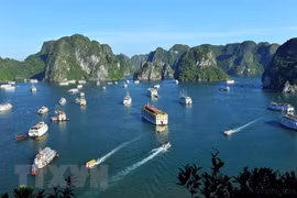 Vietnam to be a popular choice in post-pandemic time: UK news site