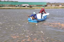 Cambodia temporarily bans import of farmed fish