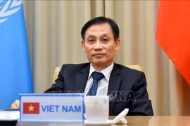 Vietnam gains breakthrough diplomatic success as UNSC member: official