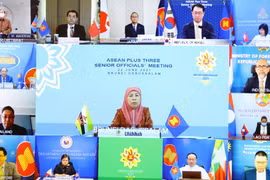 ASEAN+3 SOM: Vietnam underlines cooperation to fight COVID-19, promote recovery as top priority