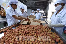 Export turnover grows 30.7 percent in five months
