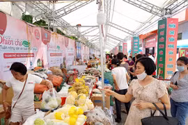 Vietnamese food producers should embrace changing trends to survive: experts
