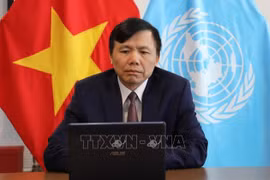 Vietnam will try its best to fulfill its mission: Ambassador